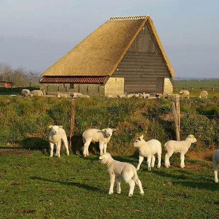 Fantastic On Texel Holiday home *